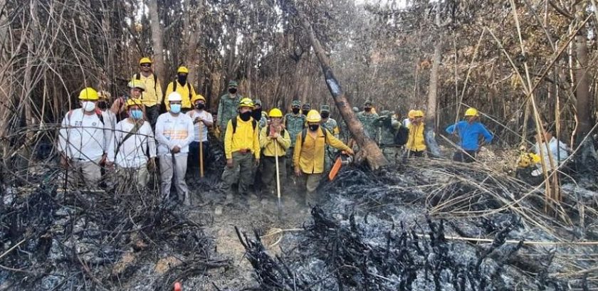 incendios-en-areas-naturales-de-chiapas_opt
