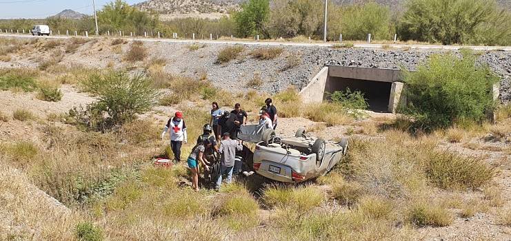 volcamiento por cachorros_opt(1)