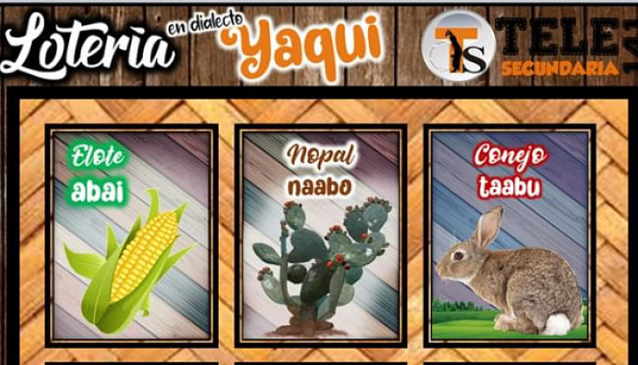 Loteria en dialecto Yaqui_opt