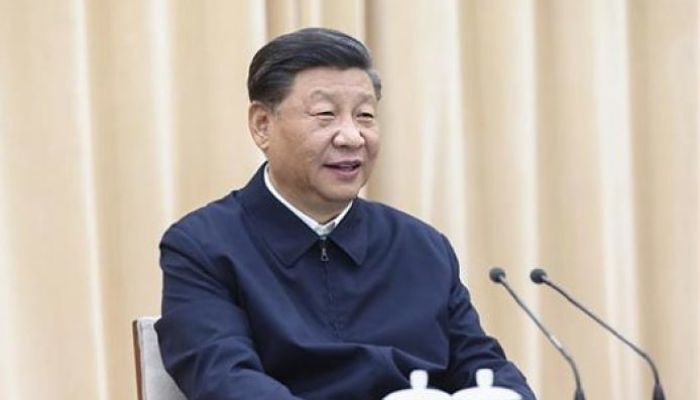Xi felicita_opt