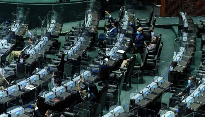 camara de diputados_opt