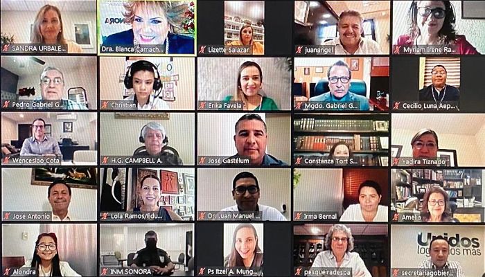 reunión virtual_opt