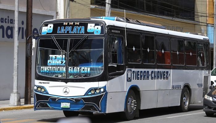 transporte-nuevo león_opt