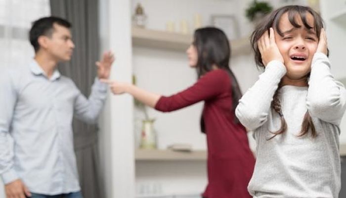 violencia_domestica_opt