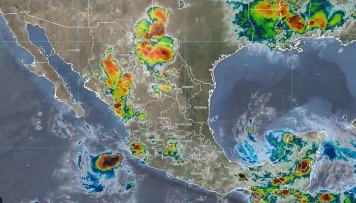 Grace-Veracruz_opt