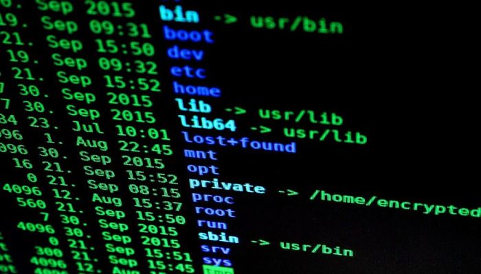 UIF congela cuentas de Tech Bull_opt