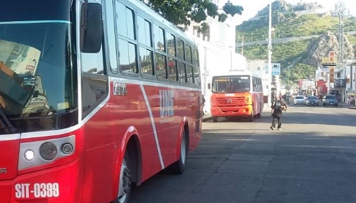 camiones nuevos al frente-viejos atras_opt