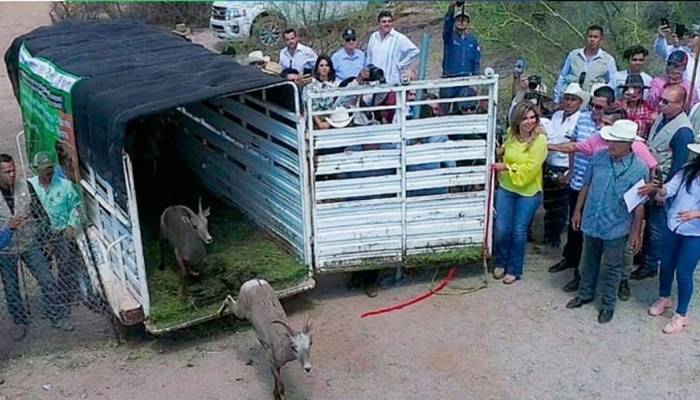 ctividad agroalimentaria en Sonora_opt