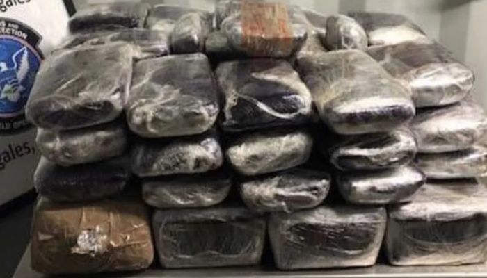 decomisan droga en NogAriz_opt