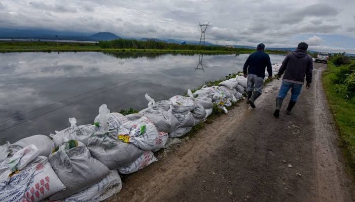 Estado de México_opt