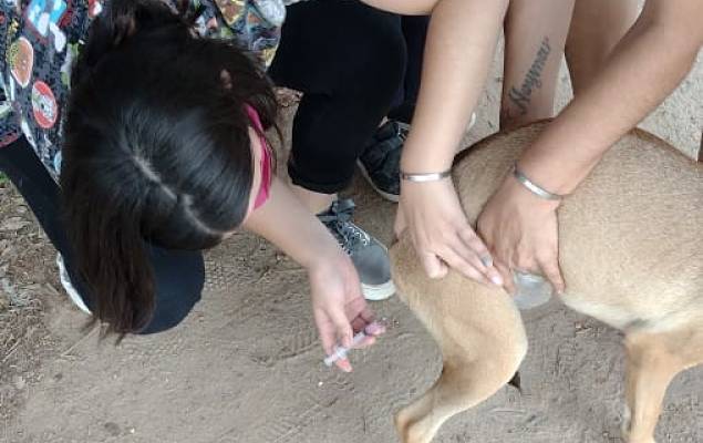 alumnos de veterinaria unison_opt
