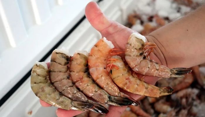 camarones1_opt