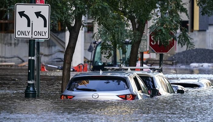 nueva york en emergencia_opt