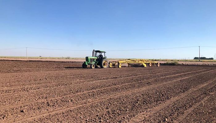 Productores agricolas (3)_opt