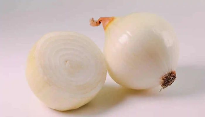 cebolla_opt