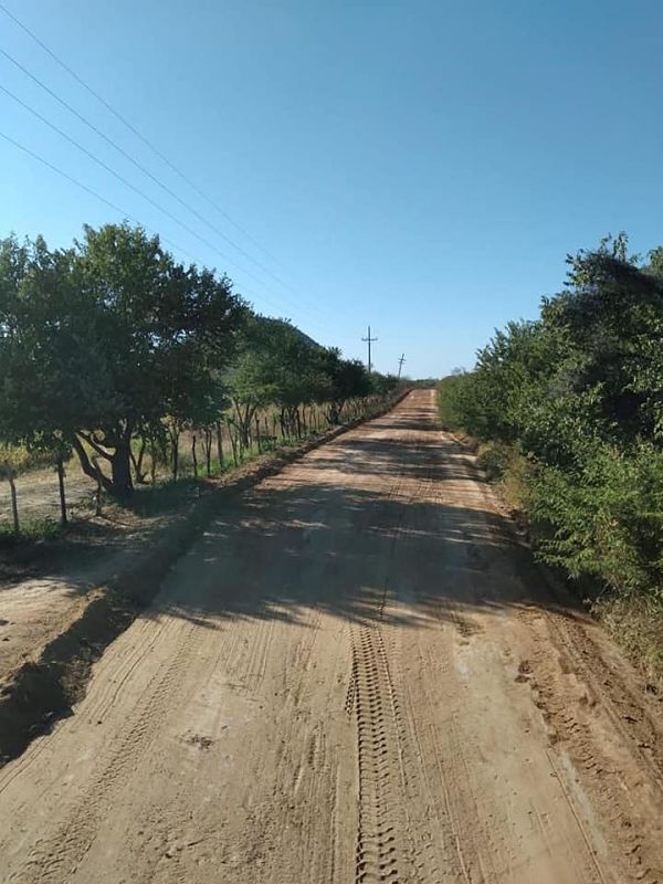 alamos-sonora_opt