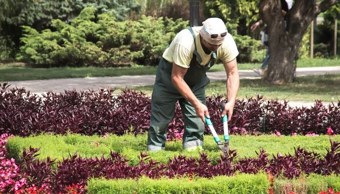 Jardineria_opt