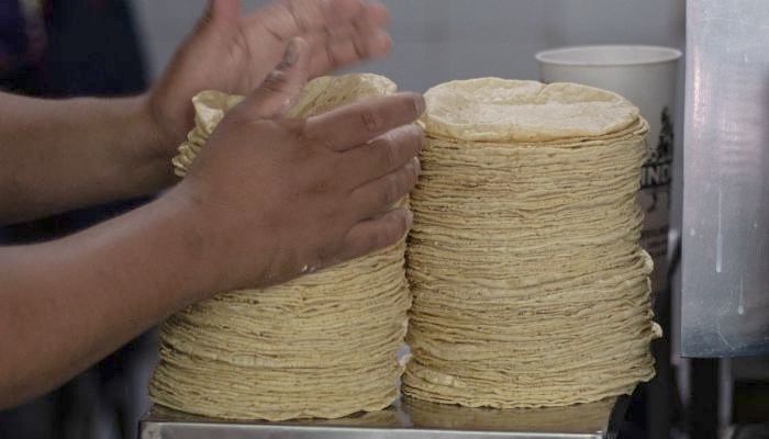 Los productos y servicios que se vieron afectados sobre la inflación general fueron: gas doméstico LP; tortilla de maíz; servicios en loncherías, fondas, torterías y taquerías; cebolla; carne de res; vivienda propia; restaurantes y similares; calabacitas; pollo; y refrescos envasados.