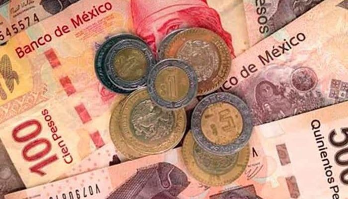 salario digno hasta 2024_opt