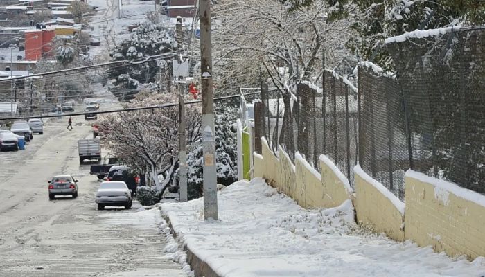 nevada-registrada-en-chihuahua_opt