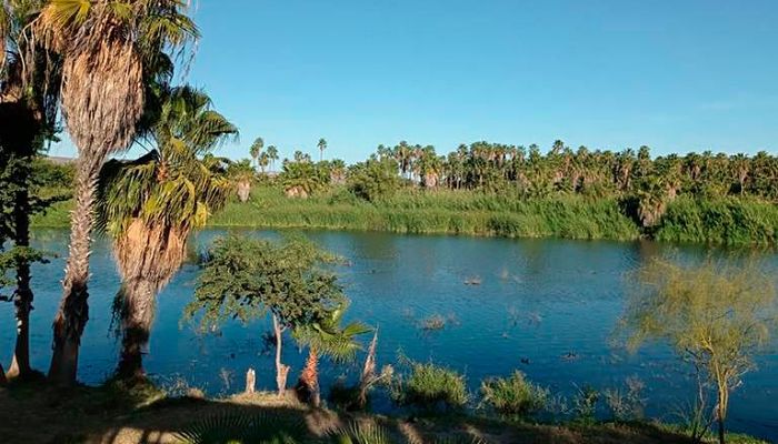 Carrera Ecologica Estero Josefino_opt