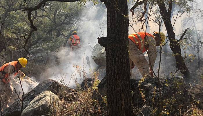 Controlan incendio forestal en un 3522085c_opt