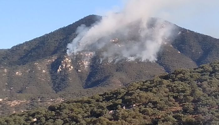 Incendio en la sierra de Sonora 0222059_opt