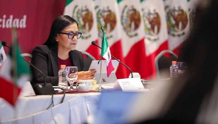 bienestar en reunión virtual con ONU_opt