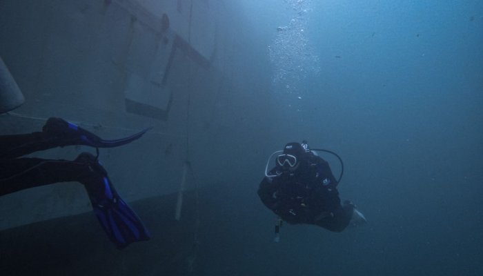 buceo santos