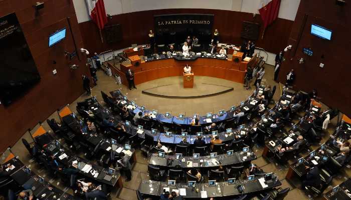 senado