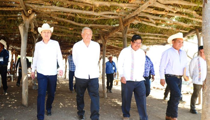 amlo alamos