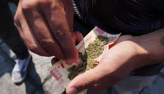uso-de-la-marihuana