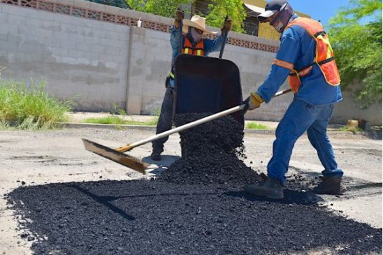 bacheo hmo