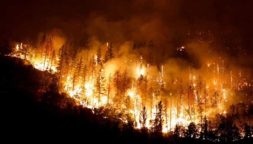 incendio en cerro de la silla NL