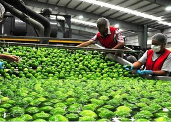 agroindustria