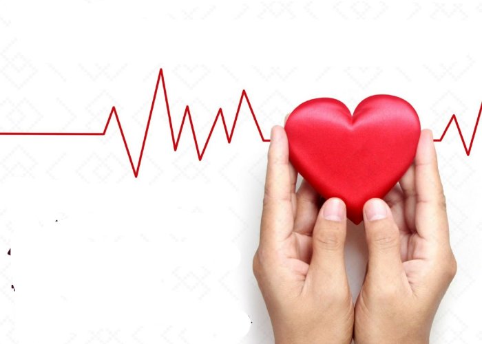 corazon1