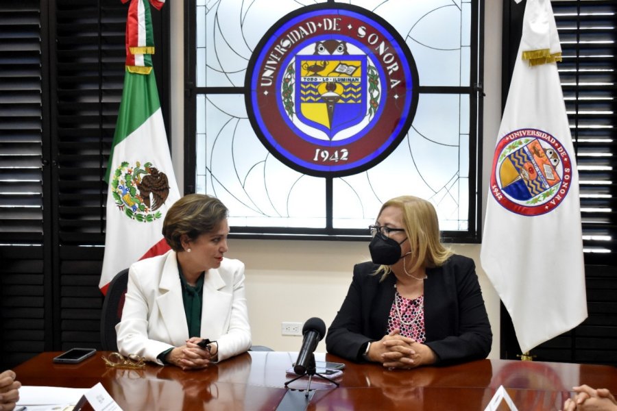 unison seguridad