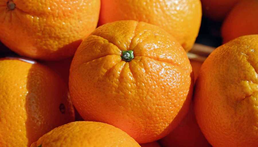vitamina c-falta