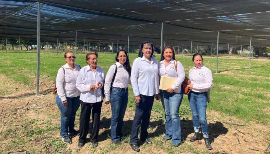 Cooperativas-invernaderos mujeres de Ures