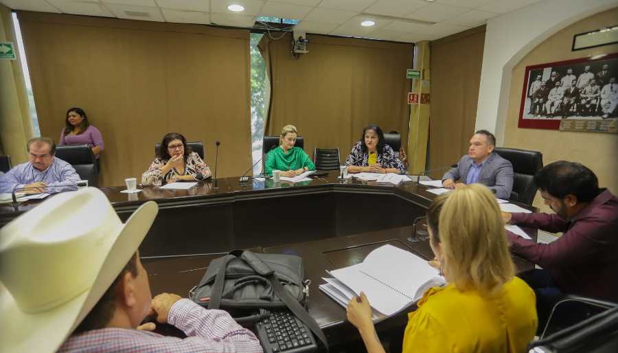 SAGARHPA anteproyecto de presupuesto para 2023