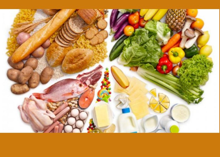 alimentos