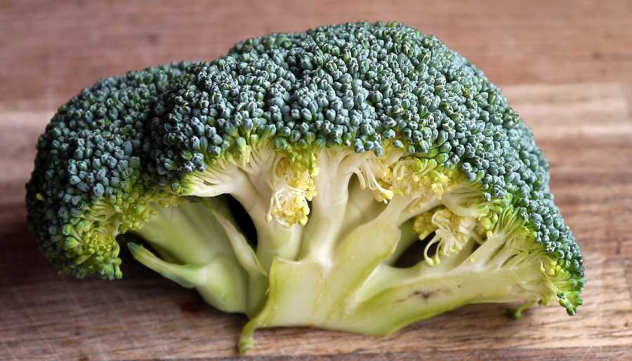 brocoli-biofirma