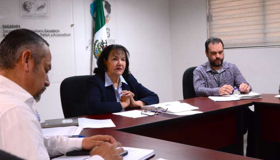 censo agropecuario de Inegi3