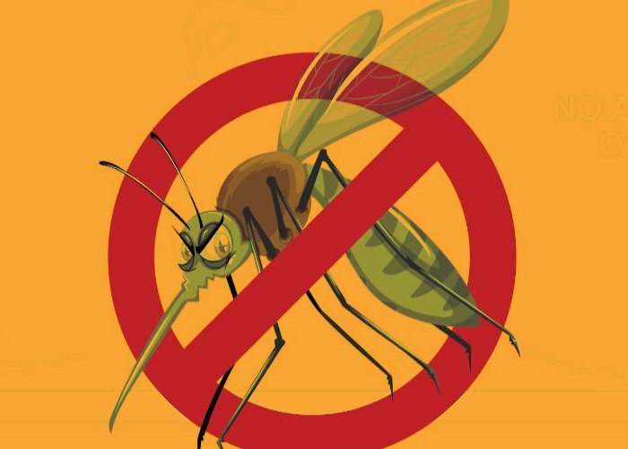 mosco dengue