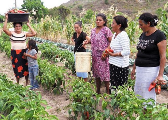 mujeres rurales sonora