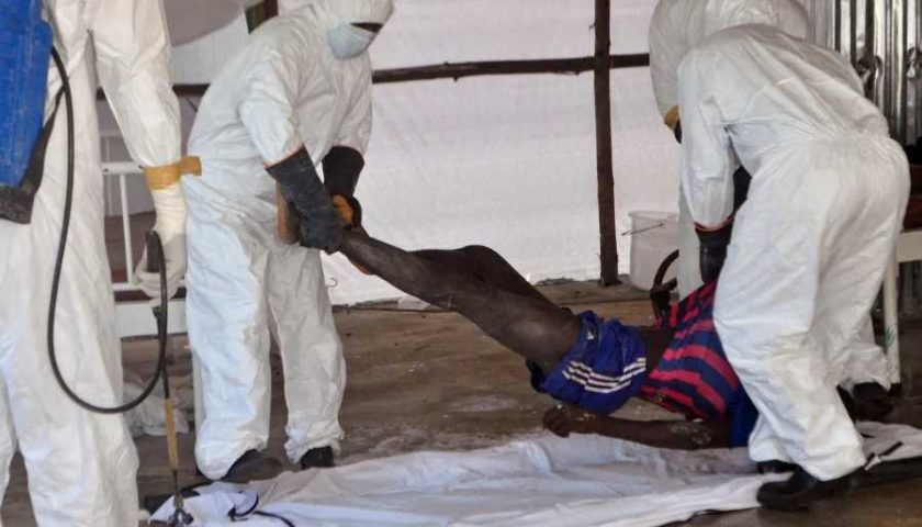 brote de ebola