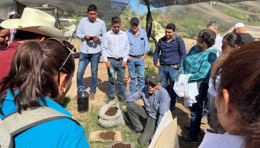 cooperativismo en sonora