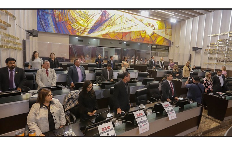 diputados