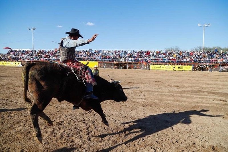 rodeo1