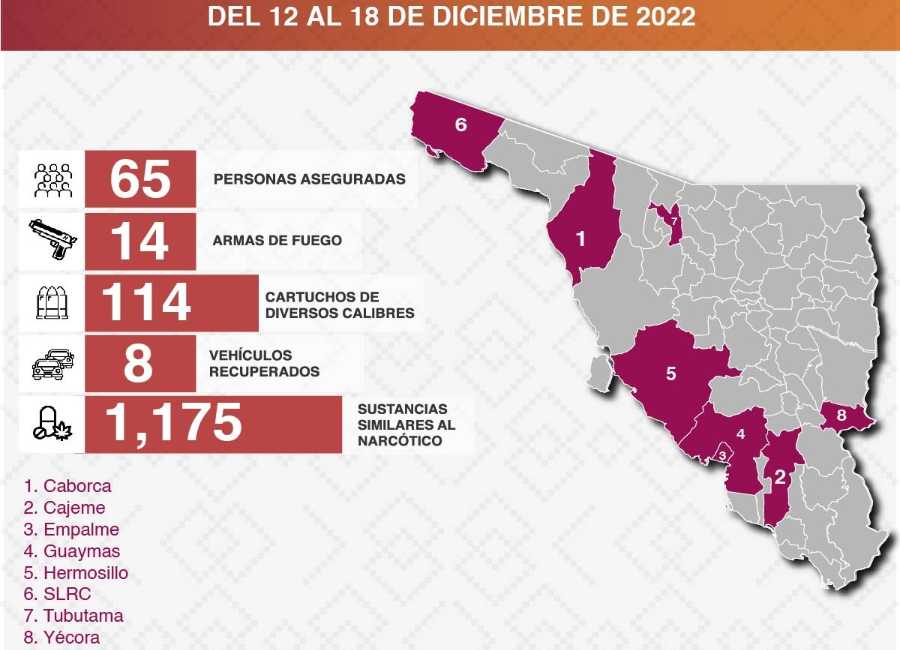 pol-estatal de segpubl